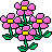 pink--flowers