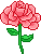 bloomin-rose